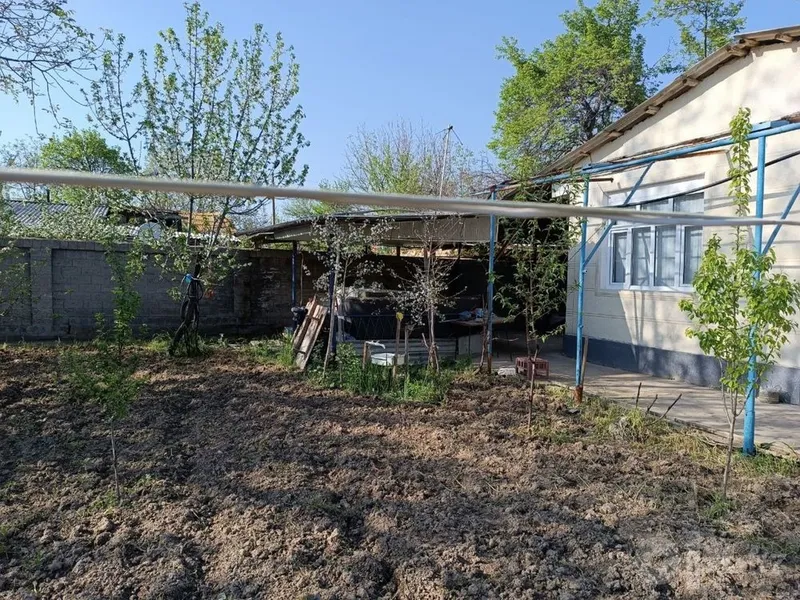 dacha krasnagorskda 5 dacha krasnagorskda 5