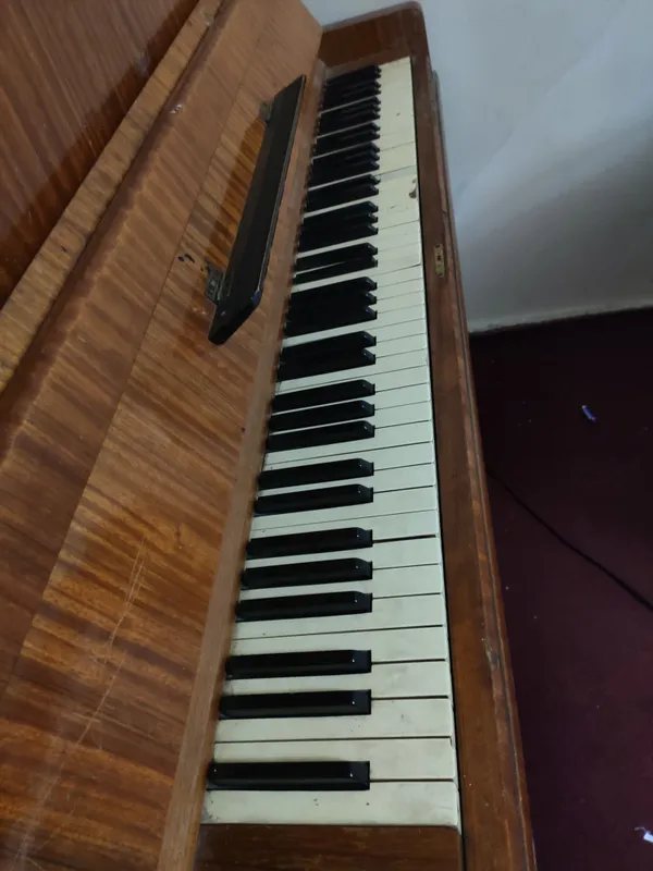 Pionina 3 Pionina 3