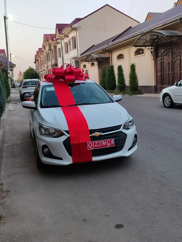 Lenta Avtobantik , бант для машины,лента — фото 5