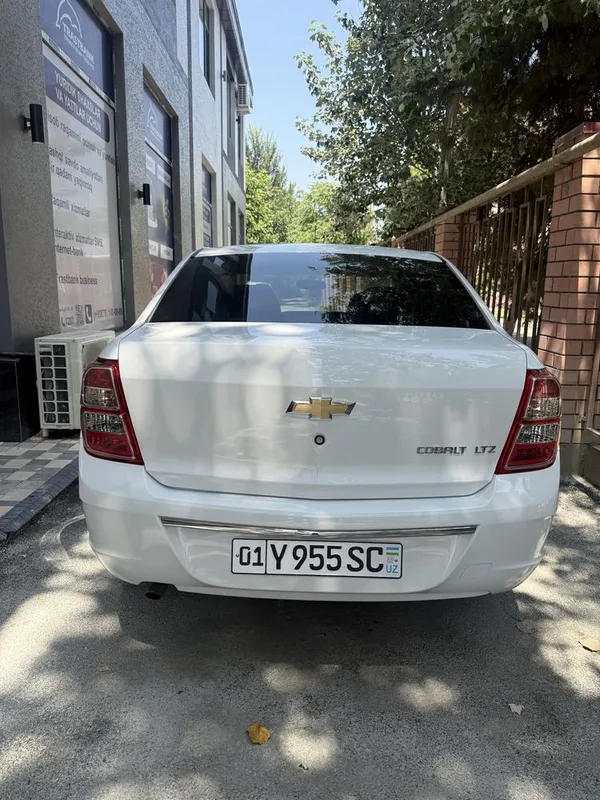 Cobalt stayl 2025 2