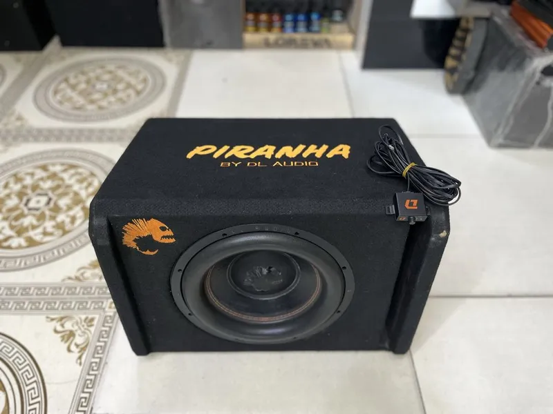 DL audio piraniya sotiladi