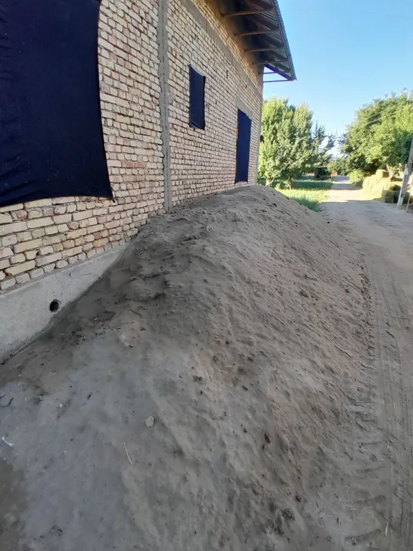 Песок Каравулбазарники 3 Песок Каравулбазарники 3