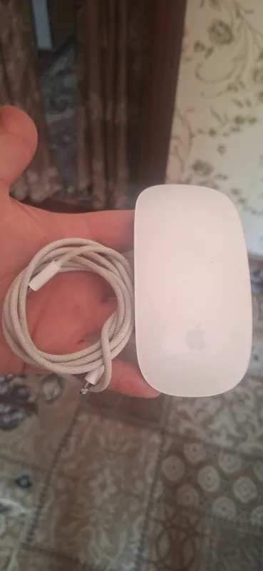 Magic Mouse Apple 2 2