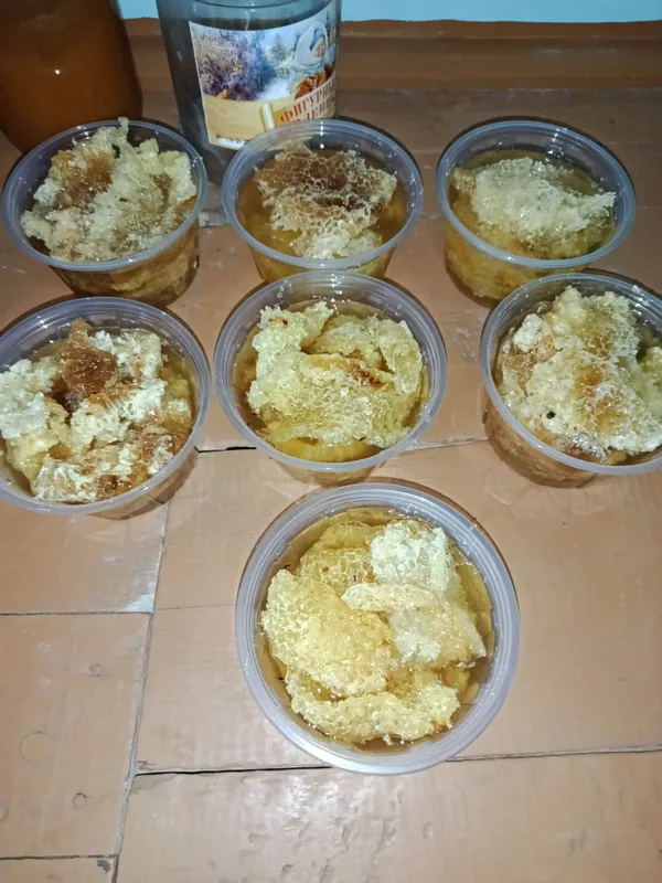 Asal va ari ini aralashgani Asal va ari ini aralashgani