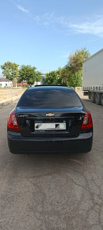 Jentra qora yaxwi xolatda 2