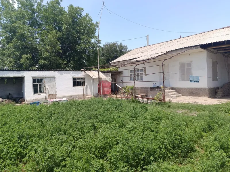 Toshkent dengizi atrofidan 30 soʻtxli kadastr xujatlariga ega xovli — фото 2