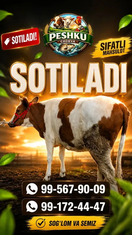 Yosh va buqaga qoyishga tayyor g'unojinlar sotiladi 1 Yosh va buqaga qoyishga tayyor g'unojinlar sotiladi 1