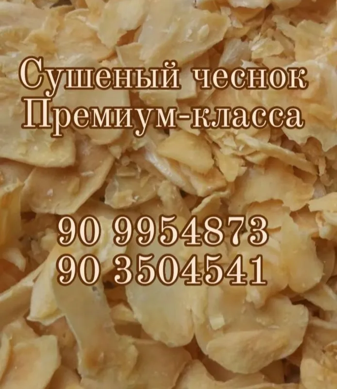Сушёный лук репчатый собственного приготовления — фото 3