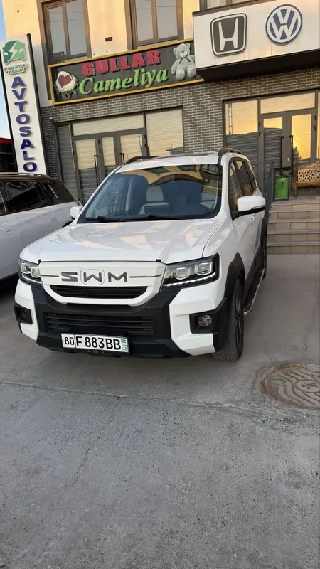 SWM 03 f rev радной краска 9 минг пробег