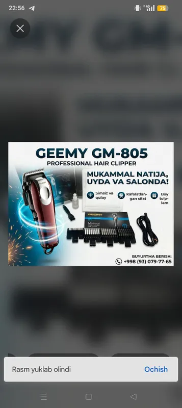 GEEMY 1