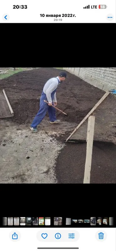 Biogumus barcha turdagi o’simliklar uchun tabiy og’it — фото 7