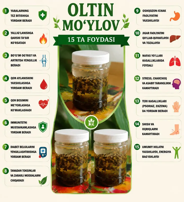 OLTIN MO‘YLOV-SOG‘LOM HAYOT UCHUN TABIIY TANLOV — фото 1