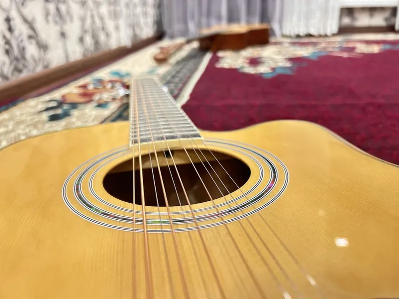 Gitara 12 ta simli