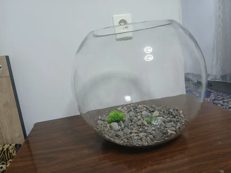 Agar akvarium sotib olsangiz, sovg‘a sifatida yana 5 litrli 1 ta beriladi 1 Agar akvarium sotib olsangiz, sovg‘a sifatida yana 5 litrli 1 ta beriladi 1