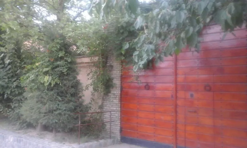 Чингельды. 1,3 гектара — фото 3