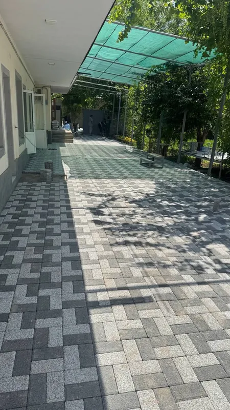 bruschatka lotoklar 2