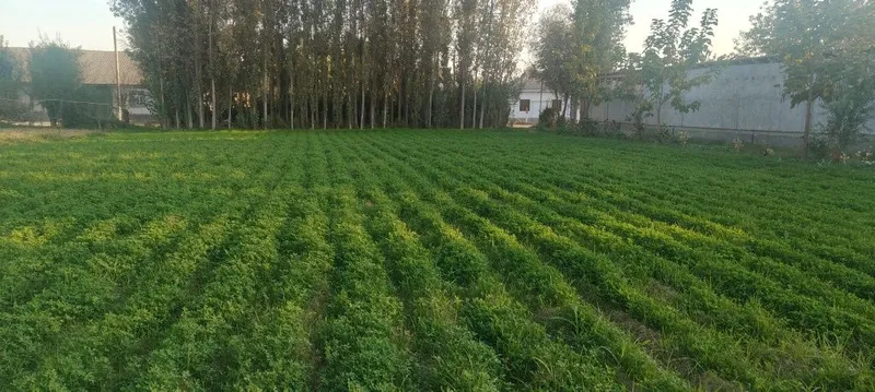 Yer ucastka sotiladi!
