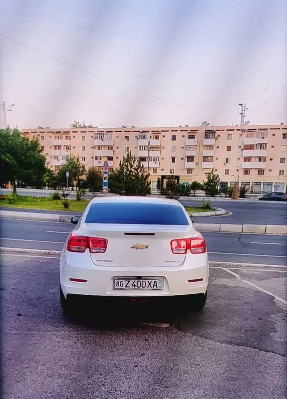 Малибу 1 2015 2-позится. Белый жемчуг Родной краска 2