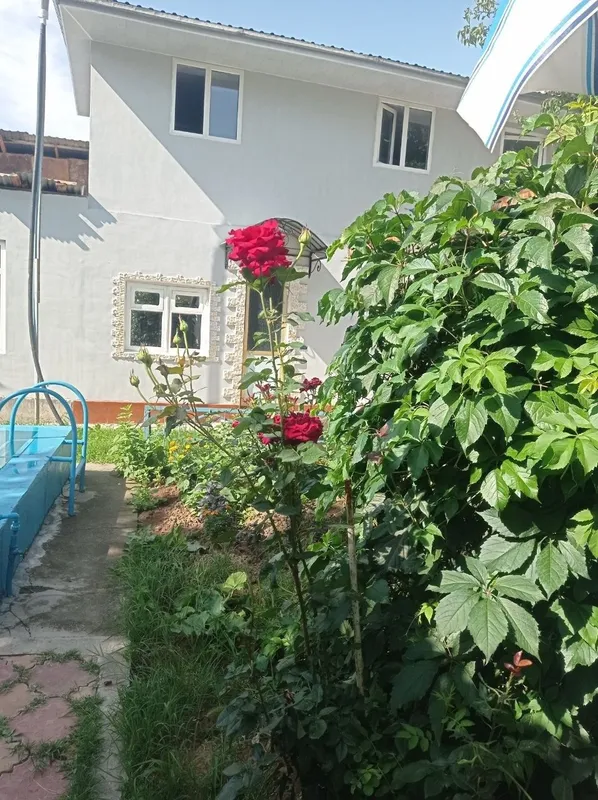 ДАЧА СЕМЕЙНАЯ. Чистая место