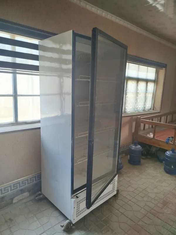 Vitrina muzlatgich rassiski xolati ideal — фото 3