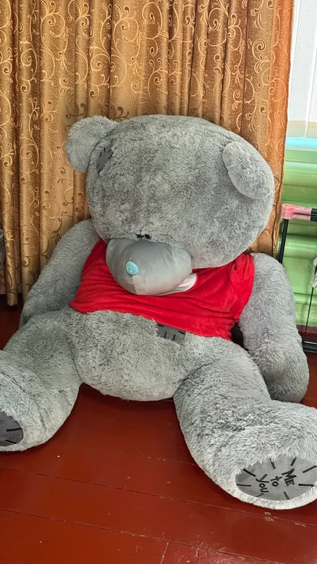 Teddy 1 Teddy 1