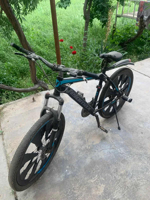 Velosped , gonchik