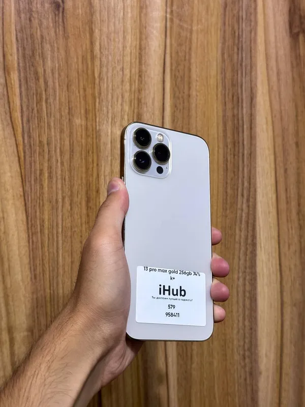 iPhone 13 Pro Max