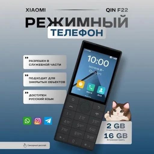 Duoqin f22 2/16 xotira