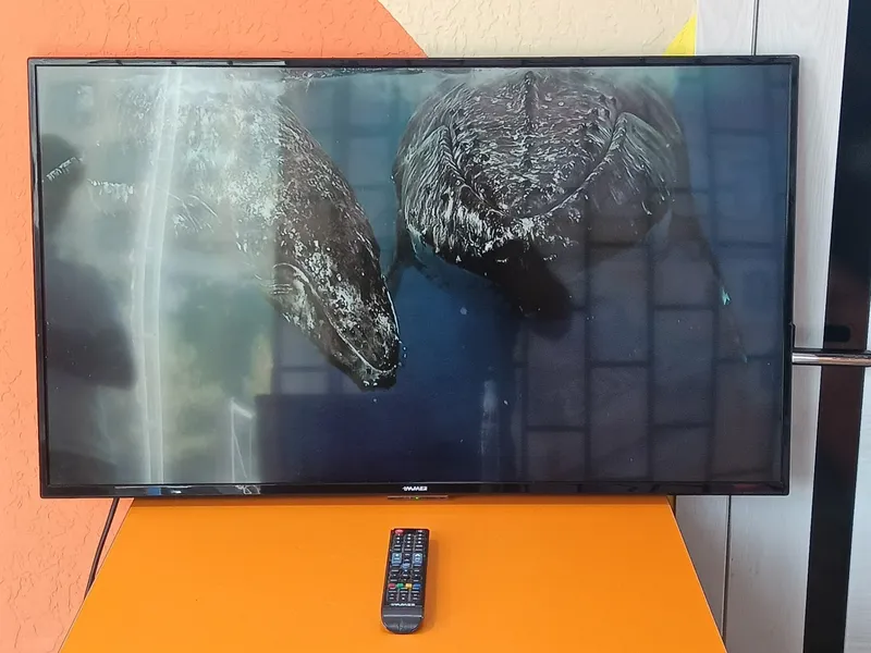 Телевизор Immer 43" 2