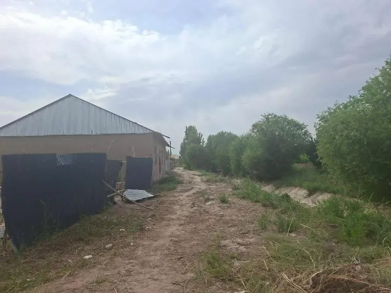 Хонка Мадрида турам жой урни