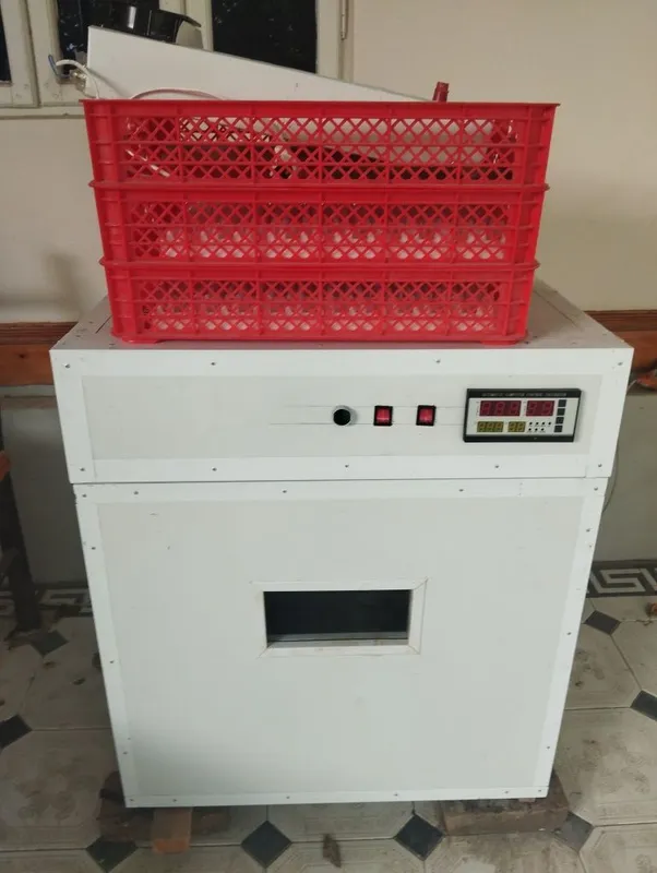 Inkubator 264talik