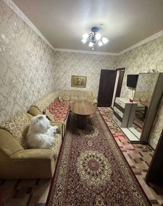 Мукимийда тозза халол уй ойла учун — фото 2