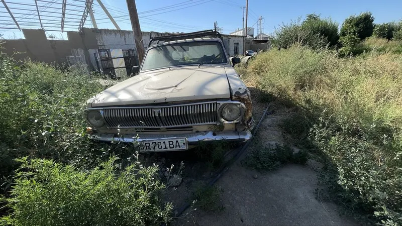 Volga gaz 24 850$ga 6