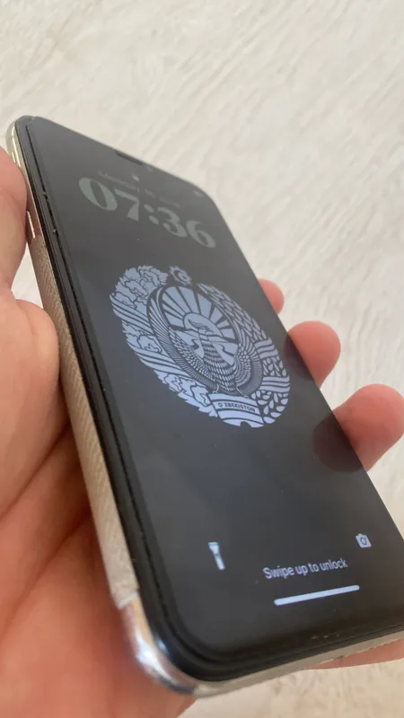 Iphone X 256 gb 3