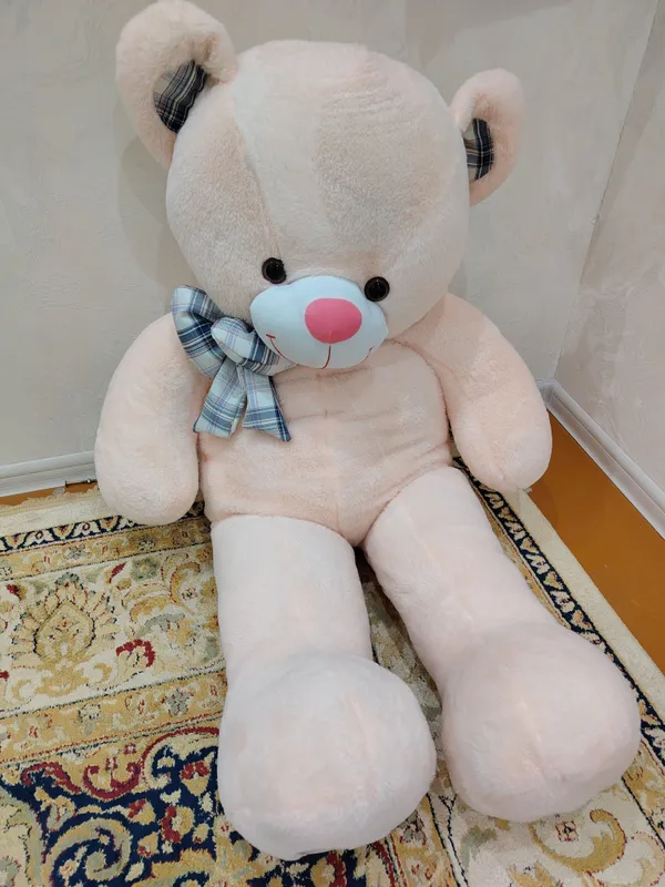 Teddy ayiqcha
