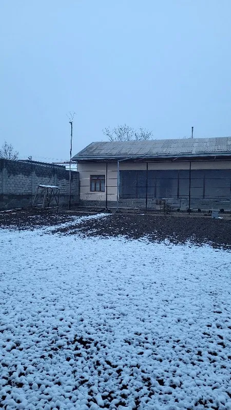 Yengi 16 yilli Bunyotkor maxxala 4 sotix yer sotiladi — фото 3