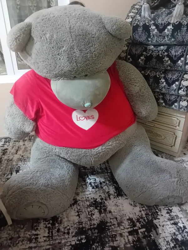 teddy