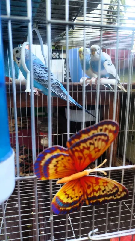 Tayor valnistila sotiladi 3 ta ishlamagan modala — фото 2