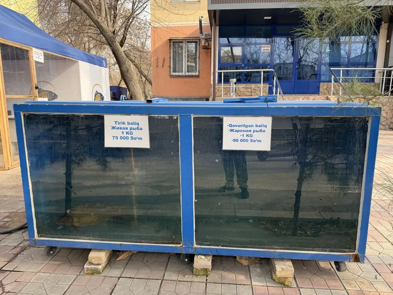 аквариум сотилади