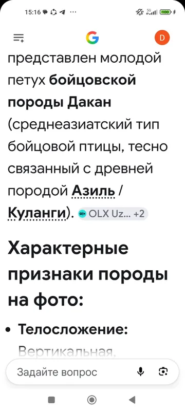 Дакан хуроз байсовский парода 2