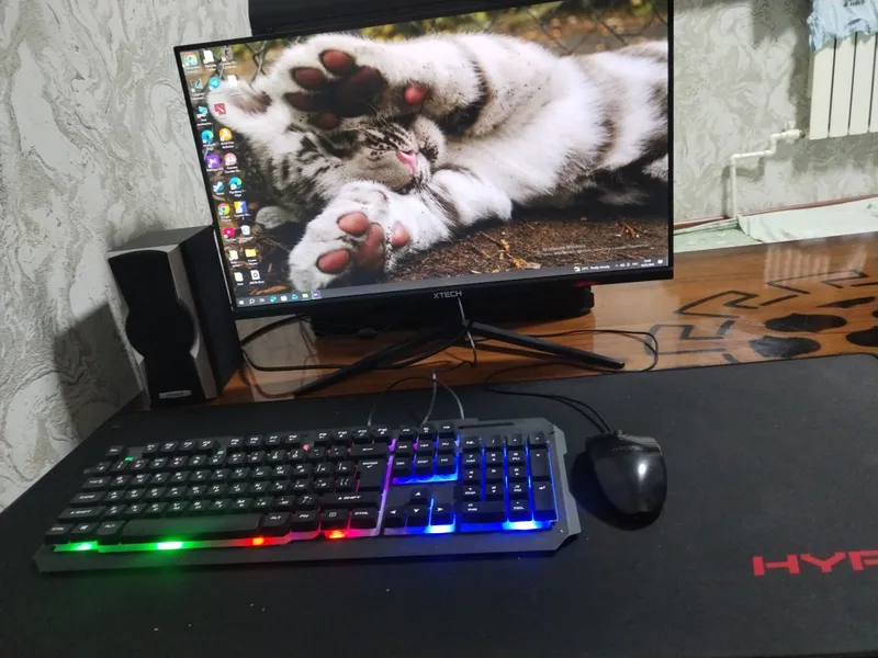 kampyutir o'yin va ofis ishlari uchun