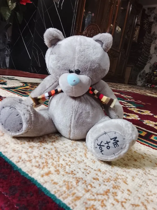 tedi ayiqchsi holati yangi