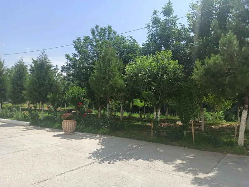 Здание в аренду — фото 4