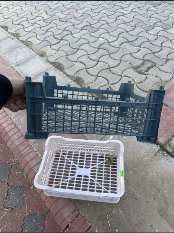 Яшик арзон нархда — фото 2