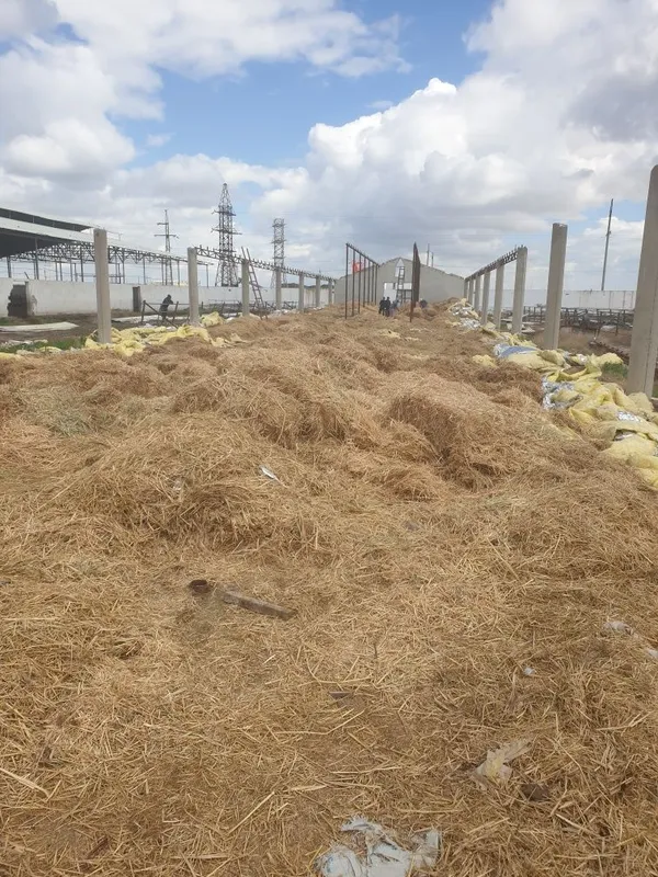 Samon pres sotiladi aralash bedasi ham bor — фото 2