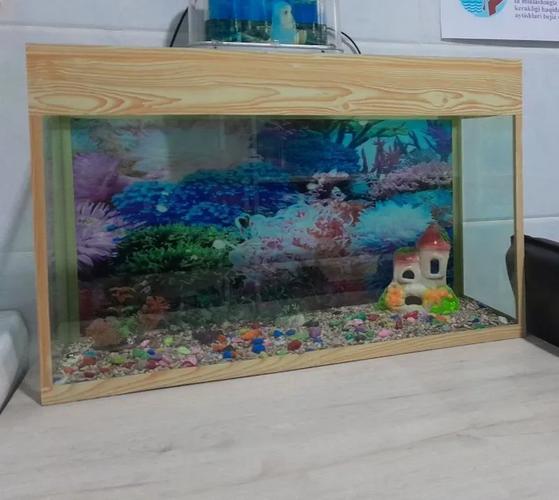 Аквариум на 60×33×20 1 Аквариум на 60×33×20 1