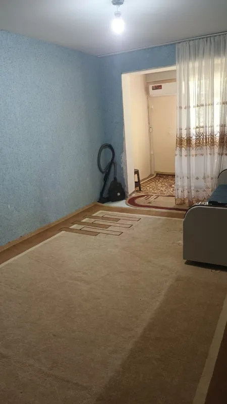 Сдам в аренду студенток-девушек 3