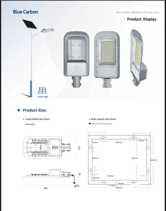 BLUE CARBON quyosh panelli LED projektorlari. 6