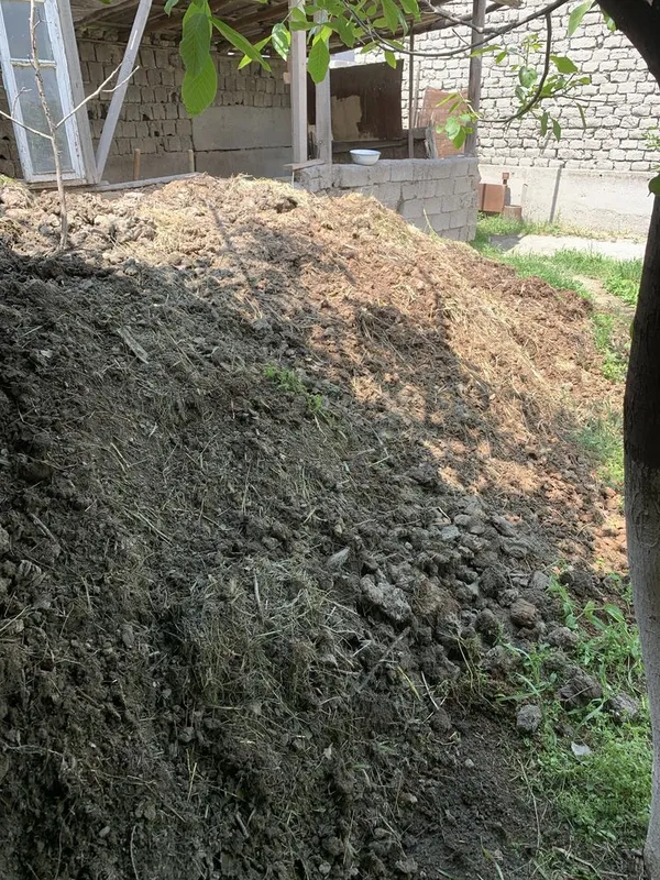 пори гонг навоз бесплатно