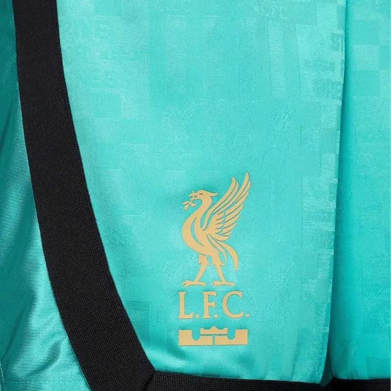 Мужские шорты Nike LeBron x Liverpool FC Dri-Fit DNA Basketball Shorts — фото 2